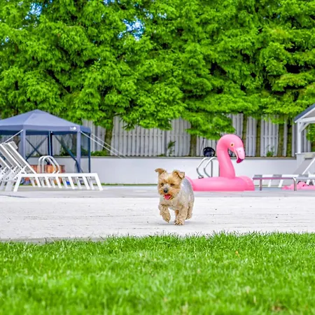 2 Bedroom Pet Friendly In Casa de Férias *