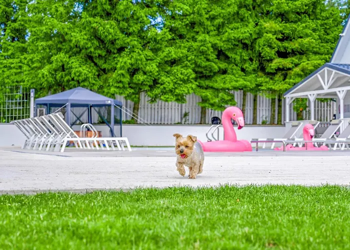 2 Bedroom Pet Friendly In Tatil Evi *